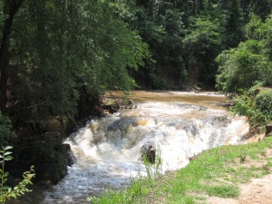 Reed Creek Waterfall